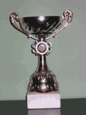 First place cup